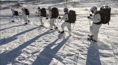 Armed Forces