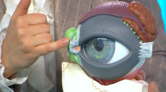 Be Well! Dry Eye