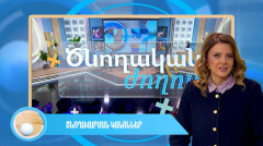 Родительское собрание Каноны родительства