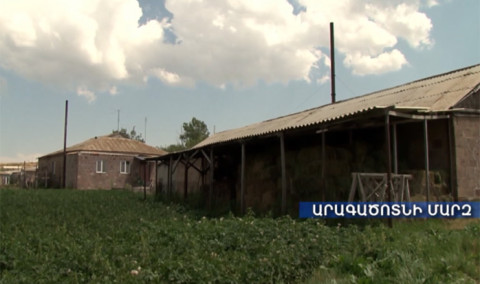 Ագրոժամ