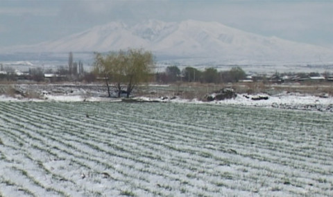 Առաջին տնտեսական