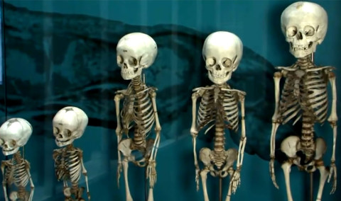 World medical museums
