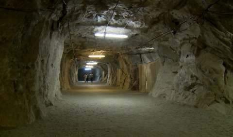 Life at 235m depth from the surface of the Earth
