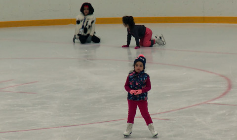 Flight, speed, life sliding on the ice