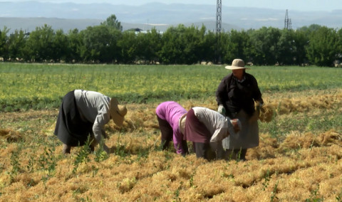 Առաջին տնտեսական