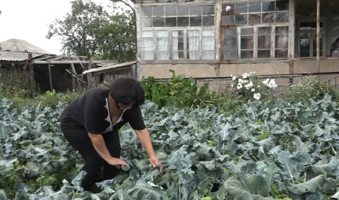 Առաջին տնտեսական