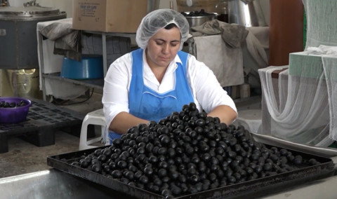 Առաջին տնտեսական