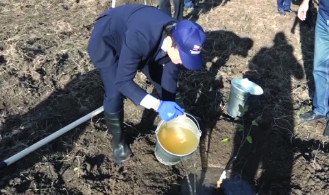Առաջին տնտեսական