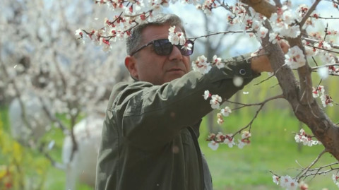 The Teacher: Gevorg Mukoyan