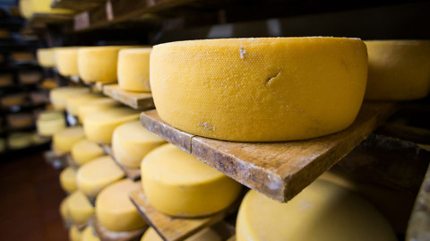 По дорогам Армении. Инспекция по безопасности пищевых продуктов (часть 2)