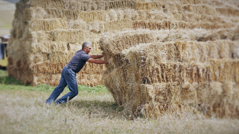 Կողք կողքի. Քրդեր