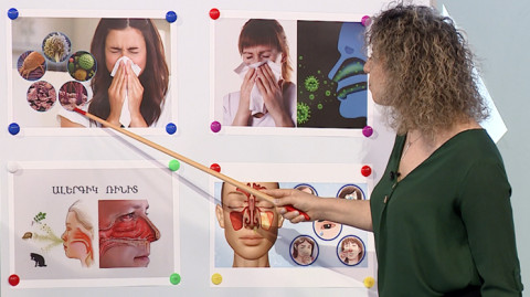 First Aid: Allergic Rhinitis, Dietologist, Allergy