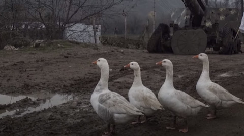 Ինդեքս