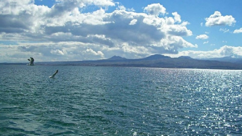 Ինդեքս