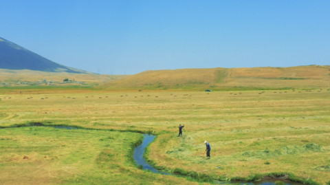 Ինդեքս
