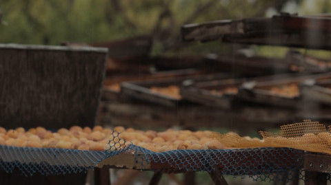 Ինդեքս