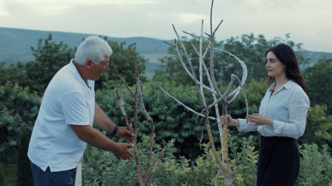 Էթնոգույներ. Քրդեր