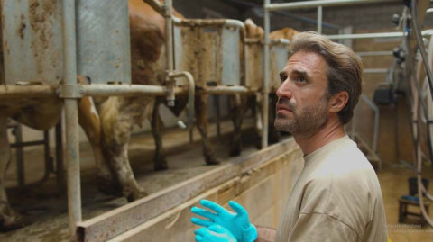 An Important Task: Livestock Farming