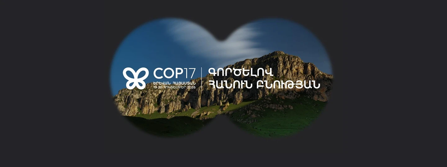 COP17